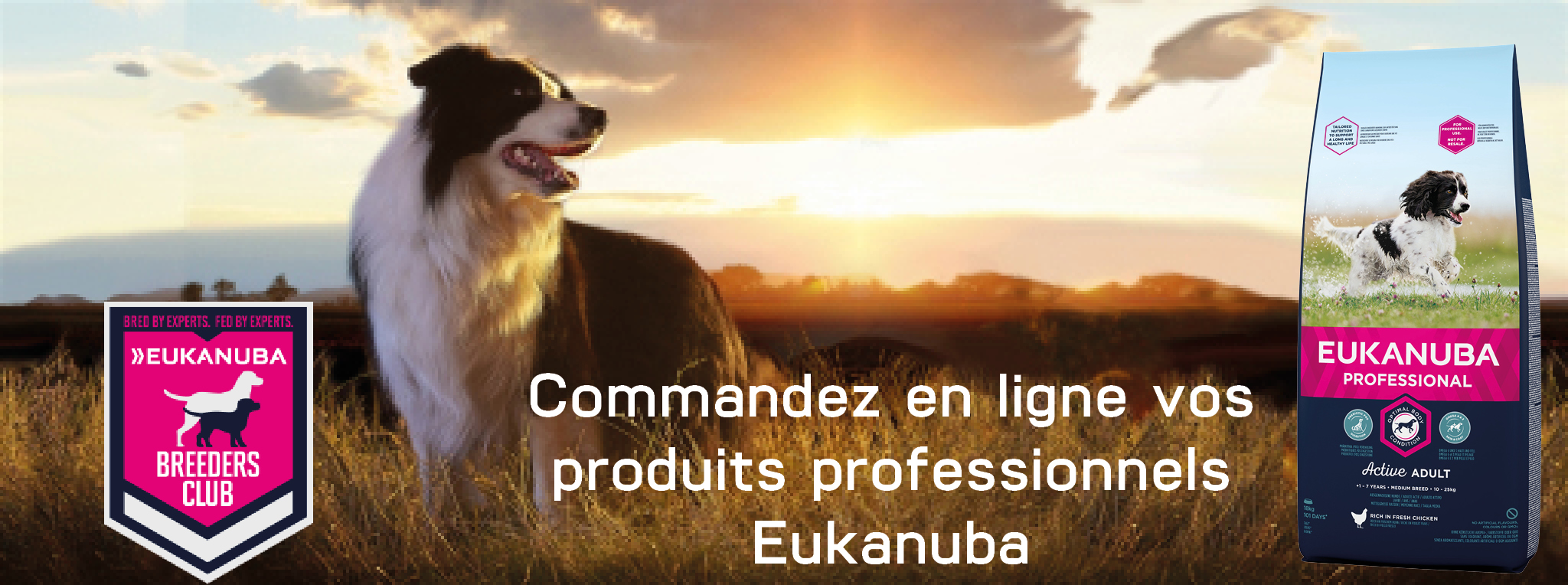 eukanuba-boutique24.jpg
