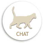 CHAT