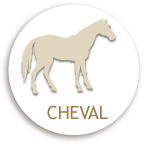 CHEVAL