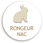 RONGEUR NAC