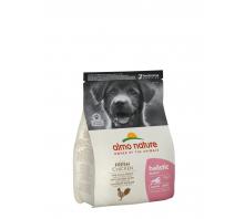 HOLISTIC - PUPPY MOYENNE RACE POULET FRAIS (x 3) Sac 2 KG HOLISTIC - PUPPY MOYENNE RACE POULET FRAIS (x 3) Sac 2 KG