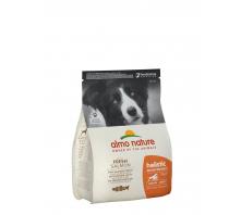 HOLISTIC - ADULTE MOYENNE RACE SAUMON FRAIS (x 3) Sac 2 KG HOLISTIC - ADULTE MOYENNE RACE SAUMON FRAIS (x 3) Sac 2 KG